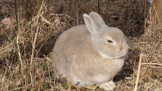 名古屋駅から1時間！癒しの牧場　愛知牧場