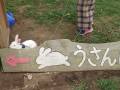 0004月うさぎ7